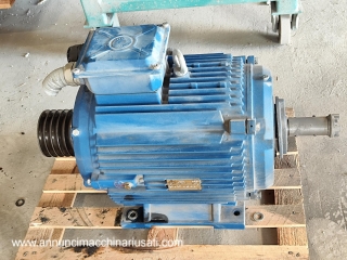 Moteur triphasé 30KW