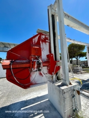 Monofilo Pellegrini usato