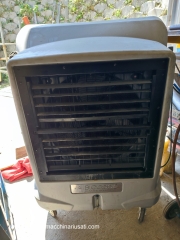 Ventilatore Industriale Mobile