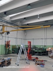 Gru a bandiera parete kg. 500